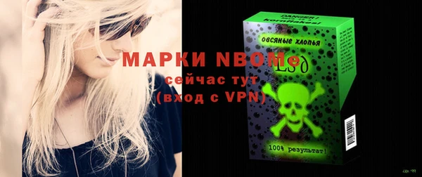 СК Няндома