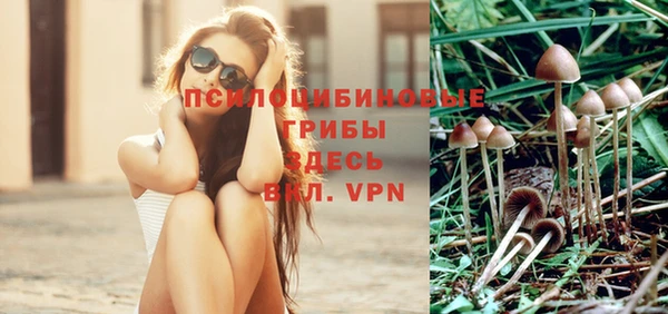 дживик Нязепетровск