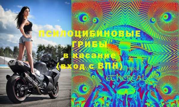 Альфа ПВП Кирс